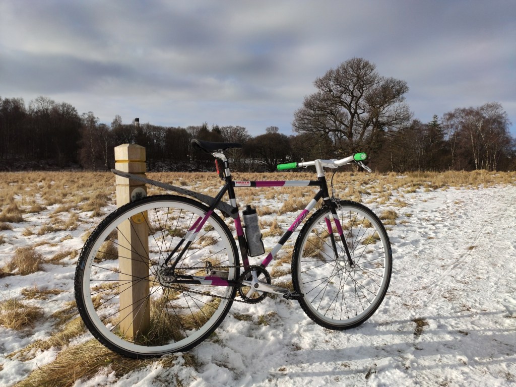 Tracklocross Is Great for Winter&nbsp;Riding