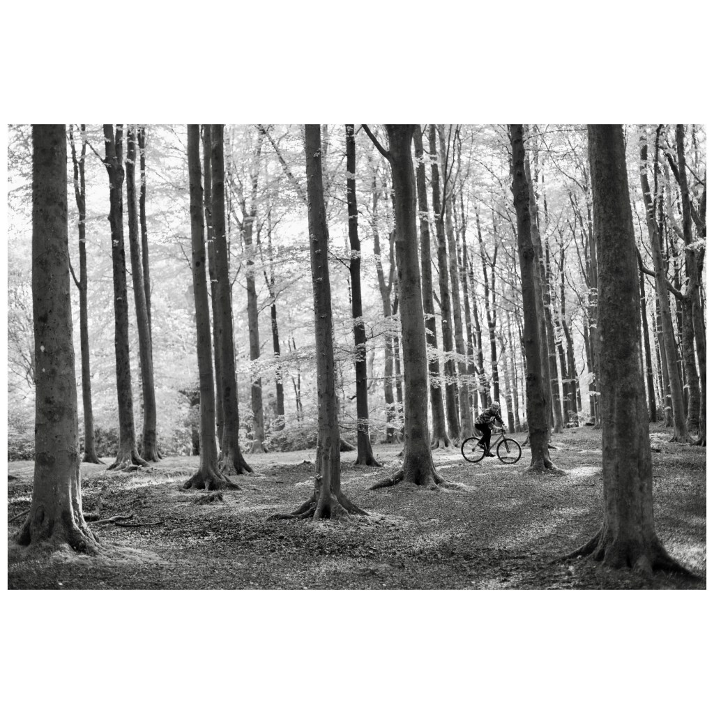 Why Should I Ride&nbsp;Tracklocross?