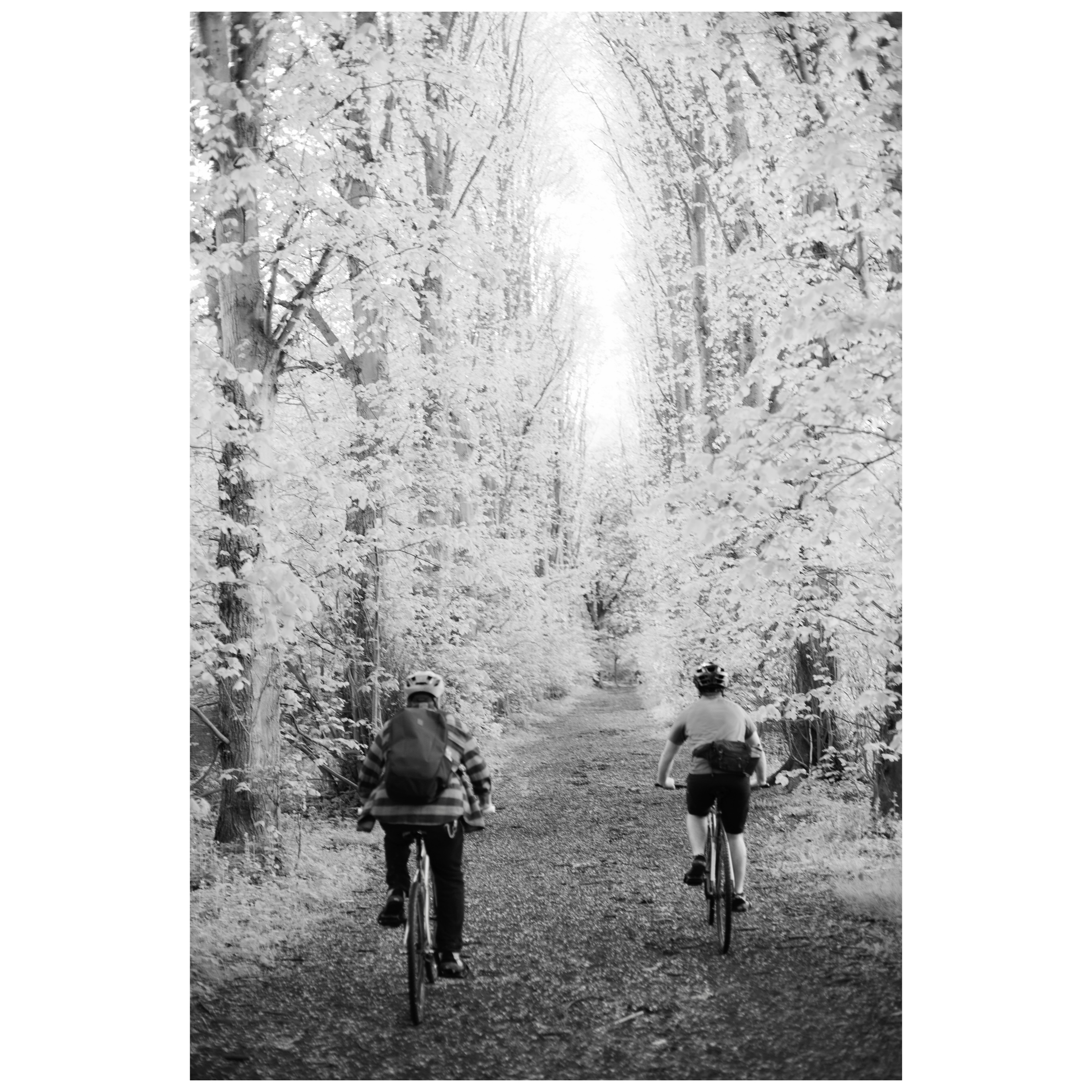 The Tracklocrossers
