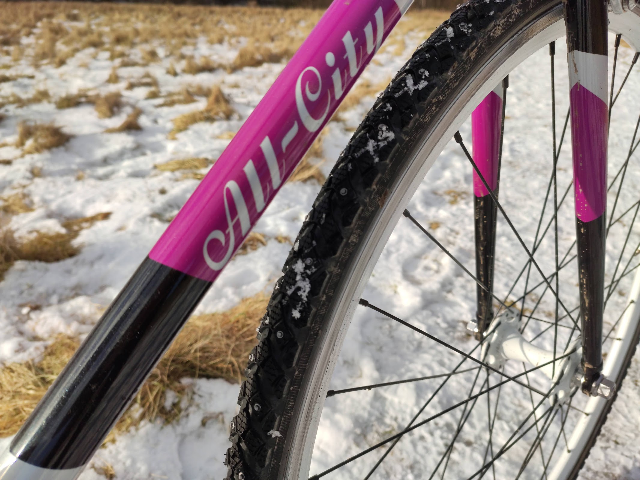 Should Tracklocross Bikes Run Studded Tyres?