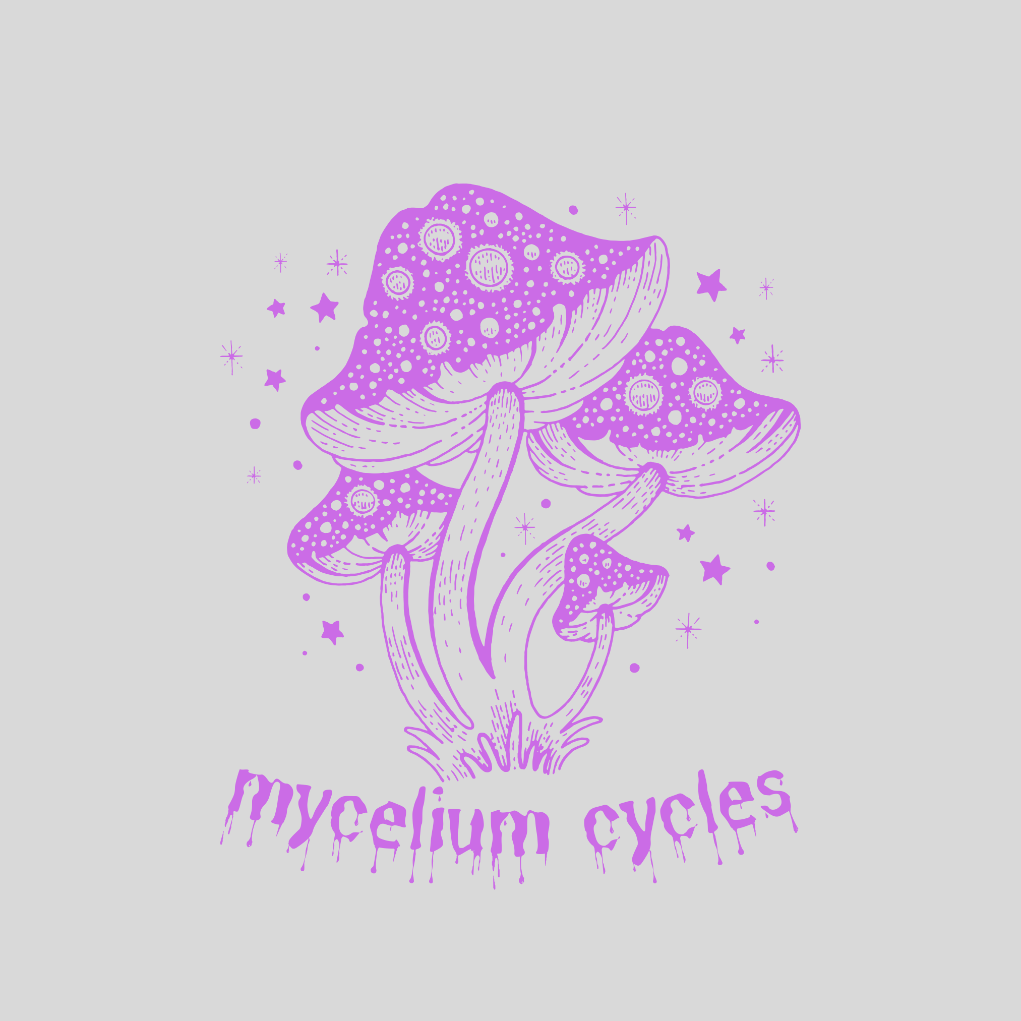mycelium cycles – A Tracklocross Bike Company