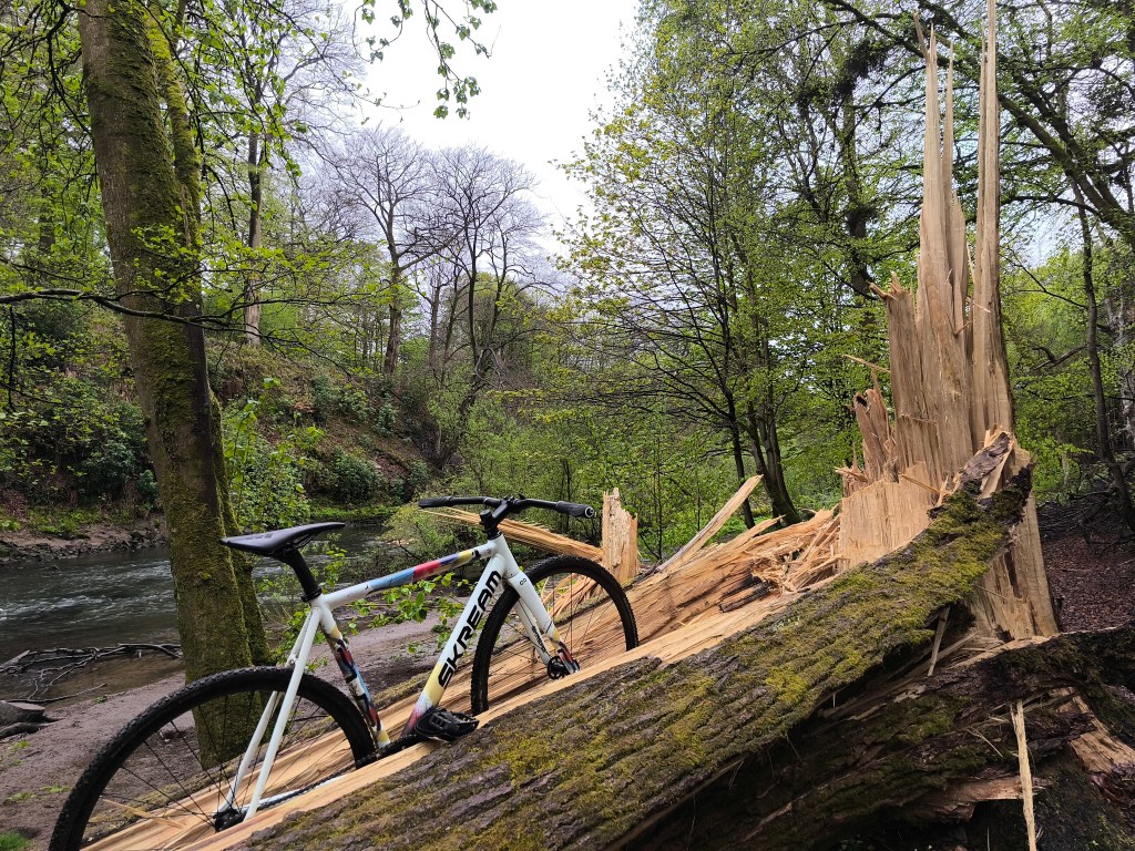 Skream Magnum or Skream Ranger for&nbsp;Tracklocross