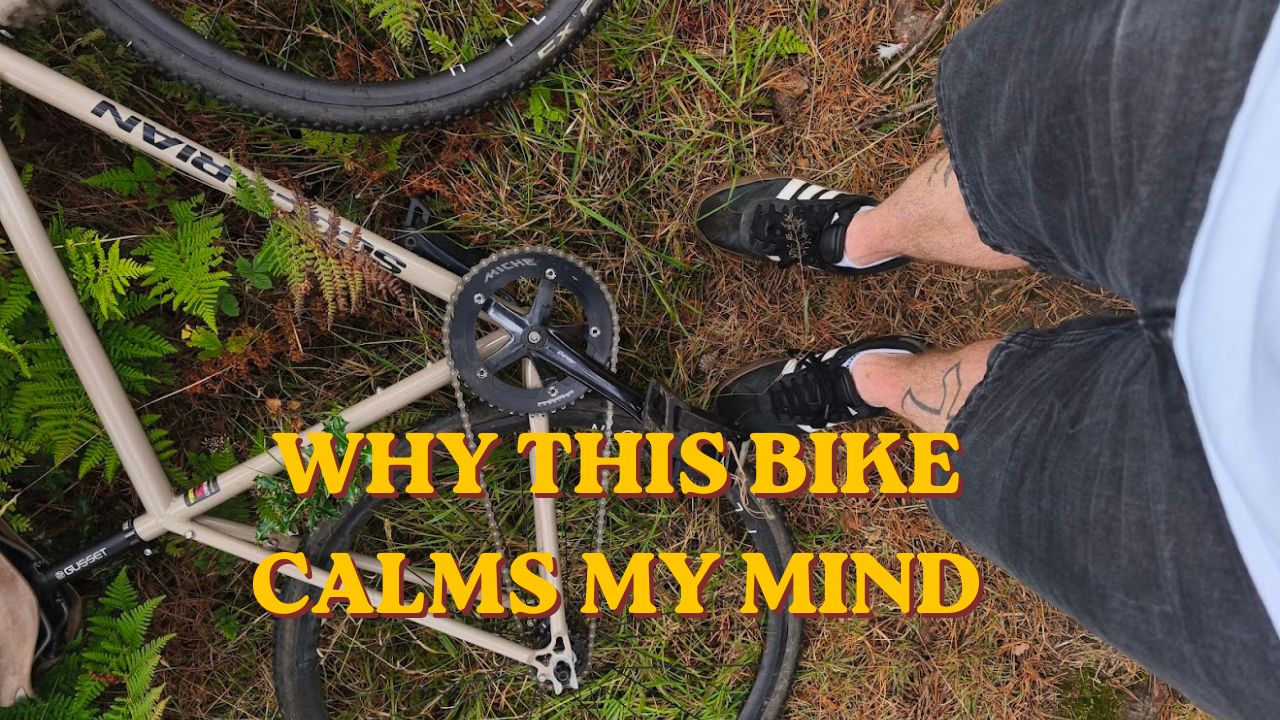 The Unfiltered Ride: How Autism Shapes a Unique Connection to Mechanical Feedback